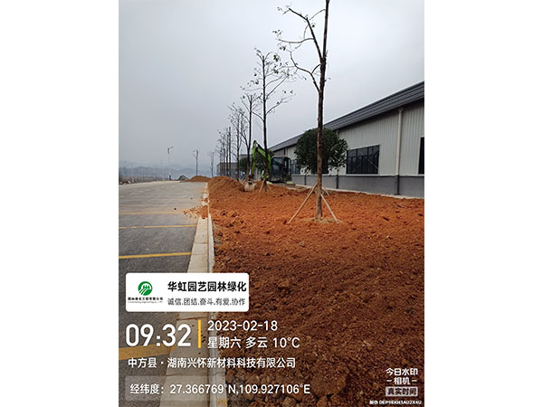 湖南興懷新材料有限公司綠化施工現場